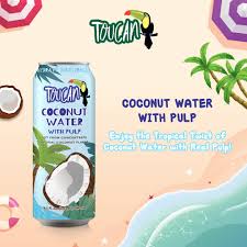 TOUCAN COCONUT JUICE WITH PULP IN CAN 12PCS/16.5OZ